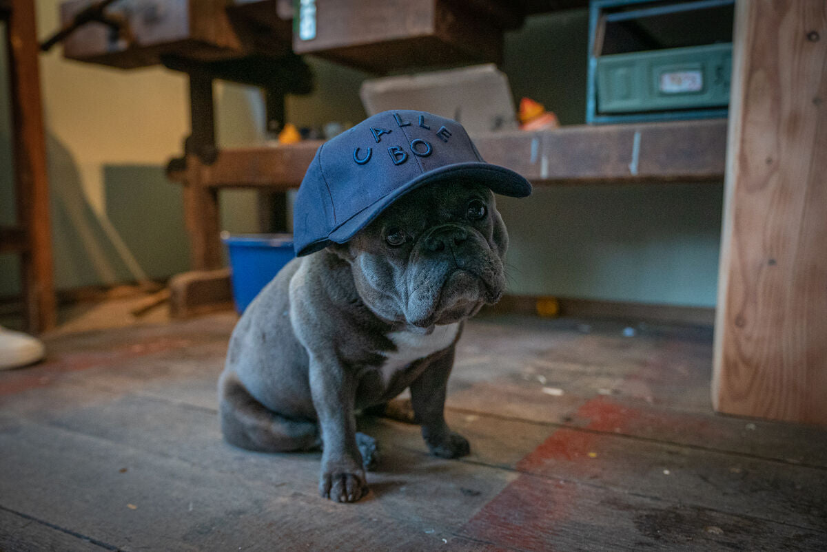 CALLE BO Signature Baseball-Cap